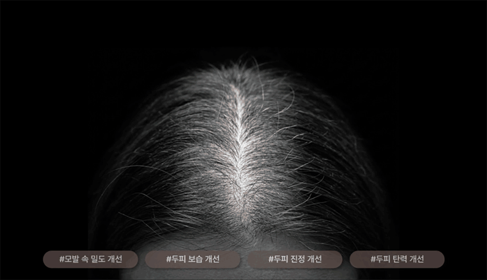 계림당 오리지널 리밸런싱 프리미엄 탈모 샴푸 500ml