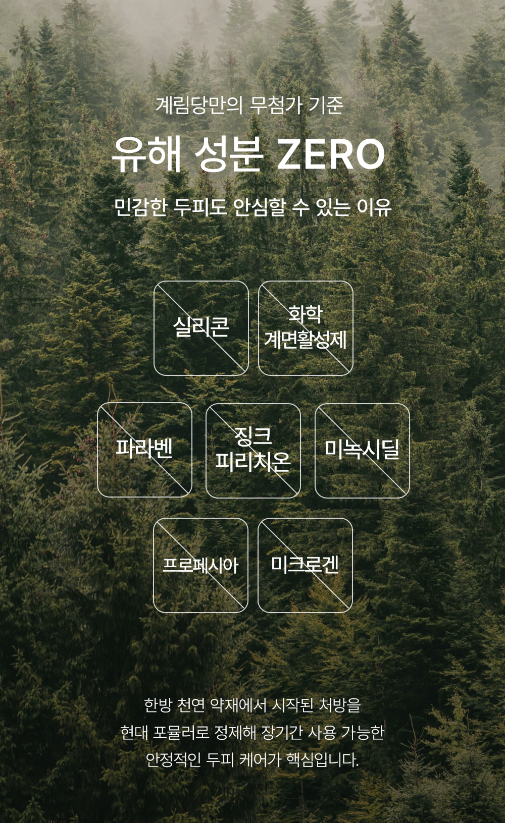 계림당 오리지널 리밸런싱 프리미엄 탈모 샴푸 500ml